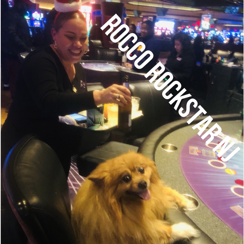 Happy New Year 🎆 2024 - Picture 3 of 14